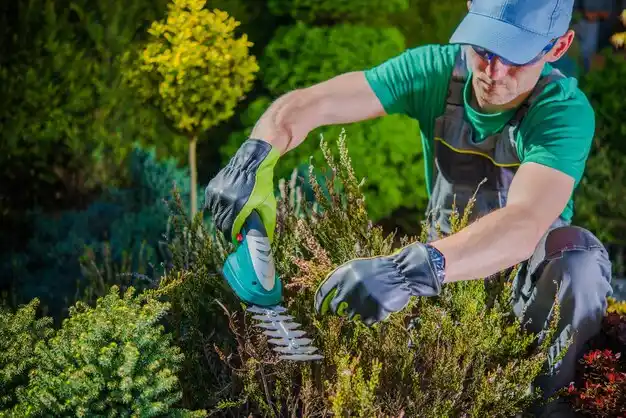 landscaping services Lecompte